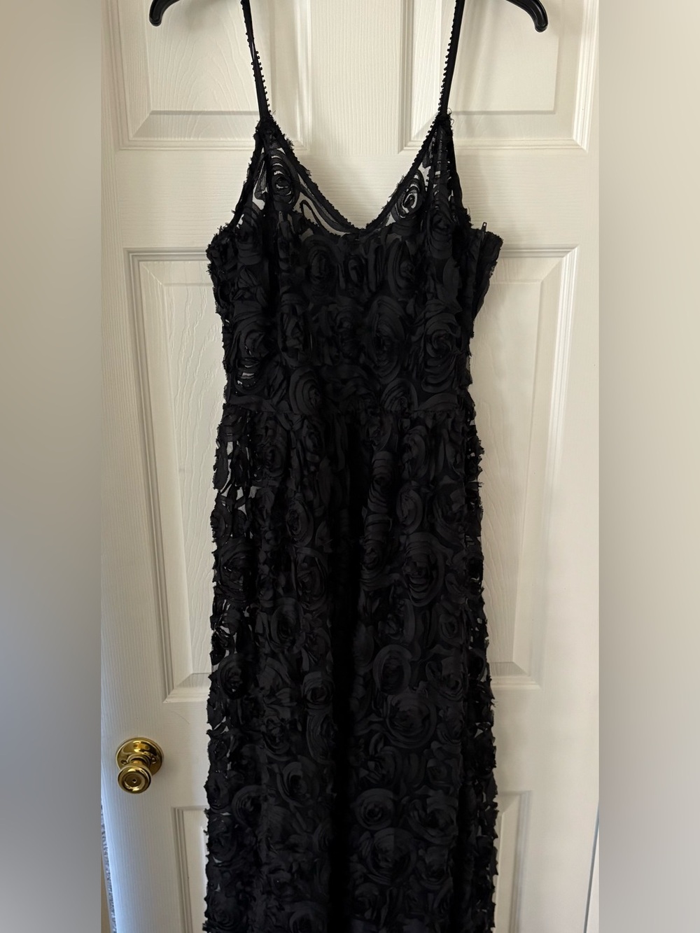 Disturbia Black Rosehip Mesh Midi Dress